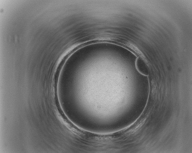 X0000064750939200602171729