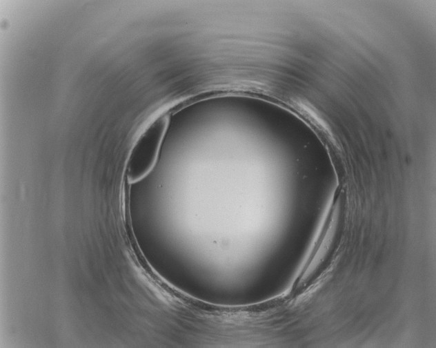 X0000064750940200602171729