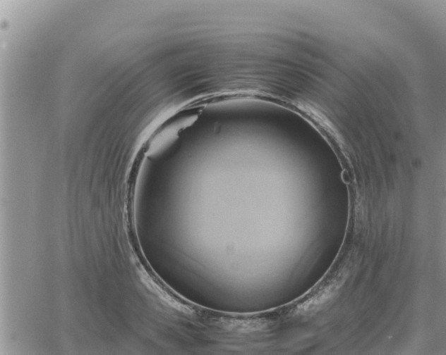 X0000064750941200602171729