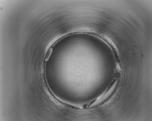 X0000064750944200602171729