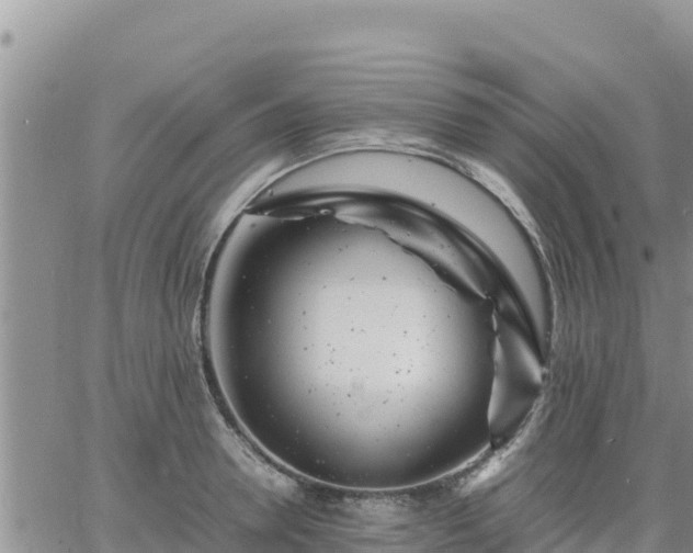 X0000064750946200602171729