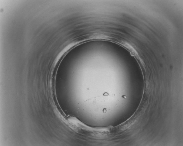 X0000064750947200602171729