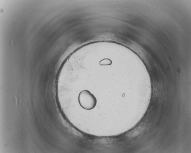 X0000064750950200602171729