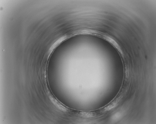 X0000064750954200602171730