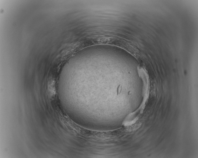 X0000064750962200602171729