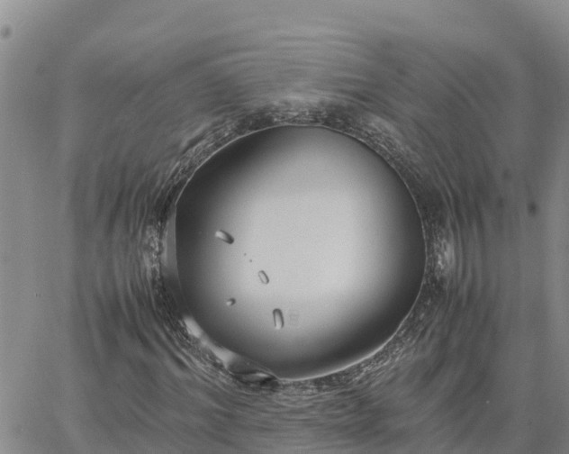 X0000064750964200602171729