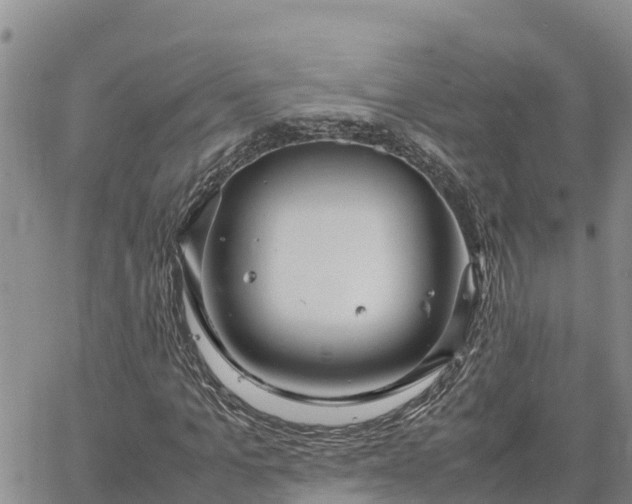 X0000064750965200602171729