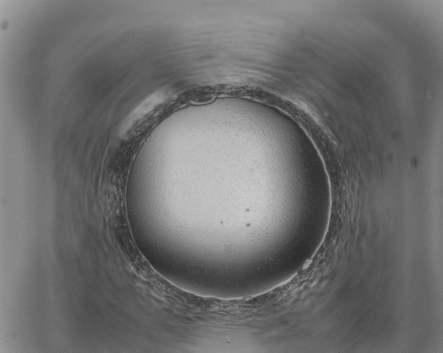 X0000064750967200602171729