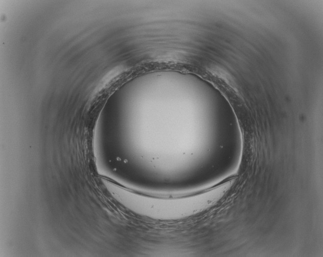 X0000064750968200602171729