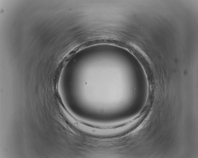 X0000064750969200602171729