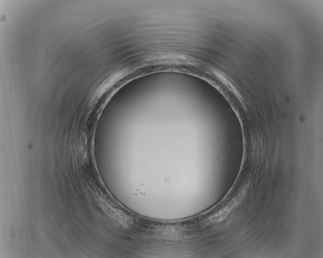 X0000064750970200602171729