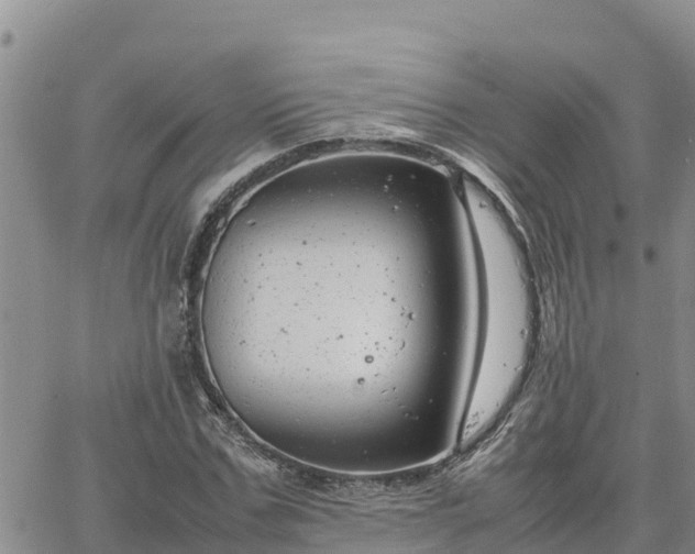 X0000064750971200602171729