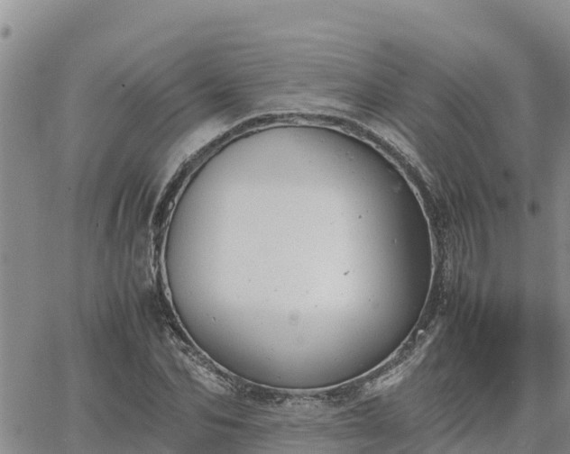 X0000064750974200602171729