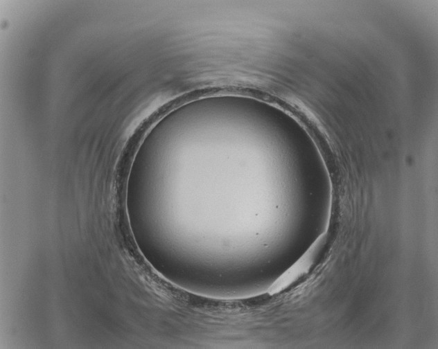 X0000064750975200602171729