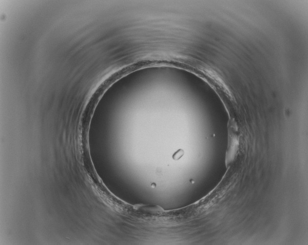 X0000064750976200602171729