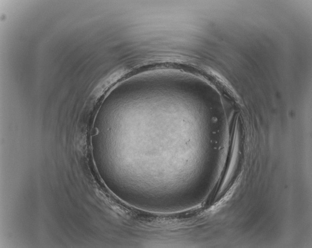 X0000064750977200602171729