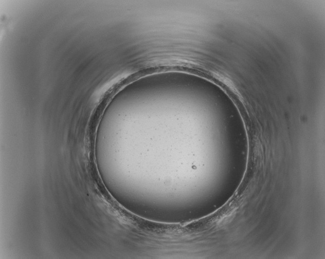 X0000064750979200602171729