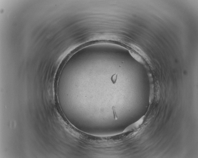 X0000064750980200602171729