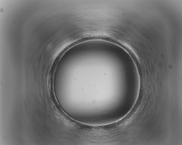 X0000064750983200602171729