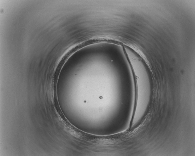 X0000064750984200602171728