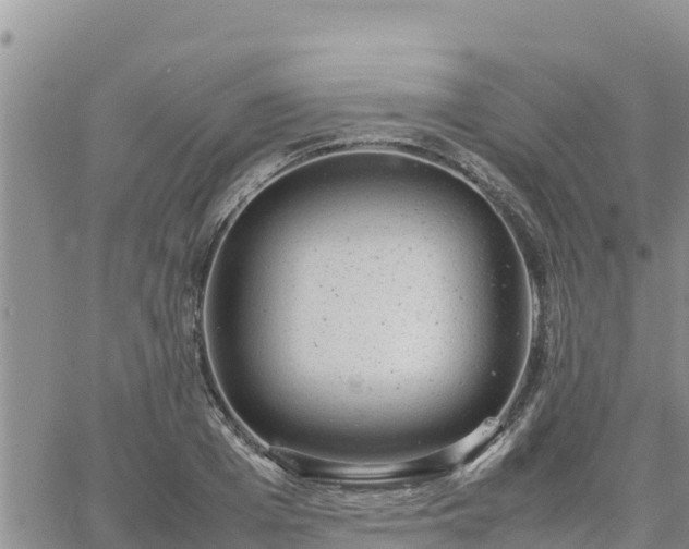 X0000064750985200602171728