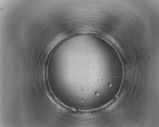 X0000064750986200602171728