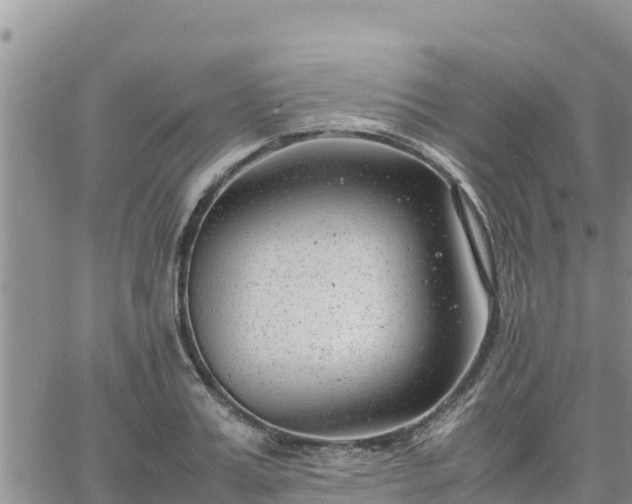 X0000064750987200602171728