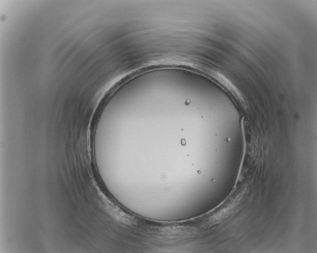 X0000064750988200602171728