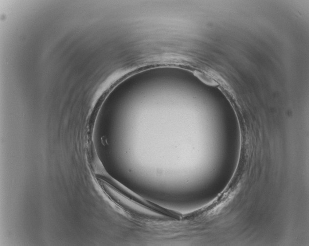 X0000064750989200602171728