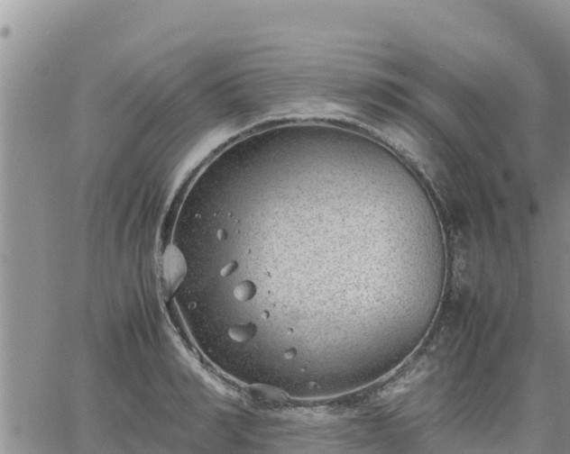 X0000064750990200602171728