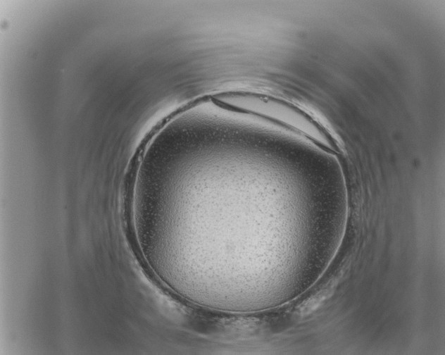 X0000064750991200602171728