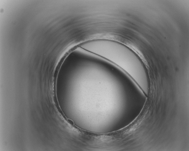 X0000064750992200602171728