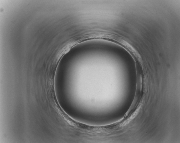 X0000064750993200602171728