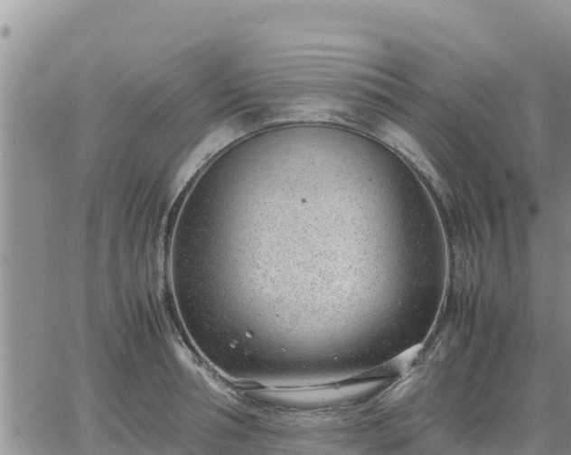 X0000064750994200602171728