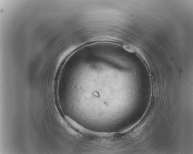 X0000064750995200602171728