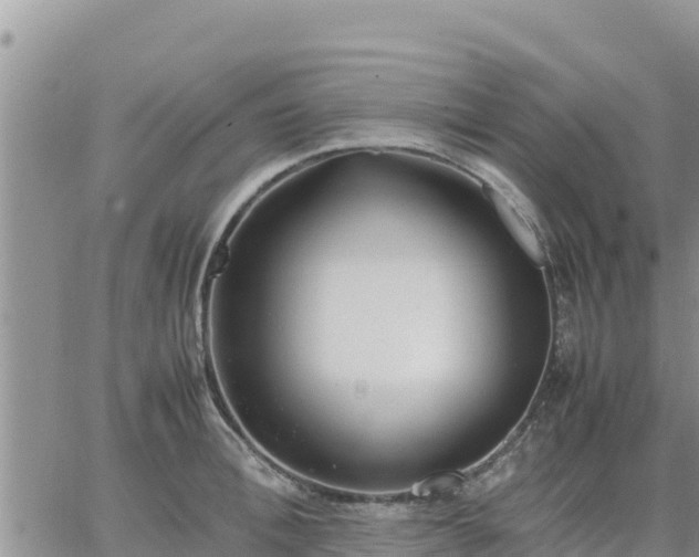 X0000064750996200602171728