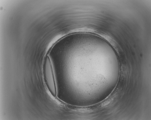 X0000064750998200602171728