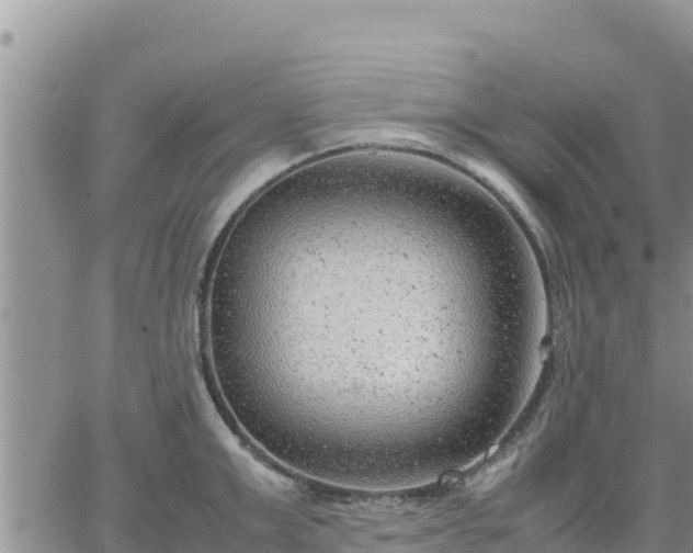 X0000064750999200602171728