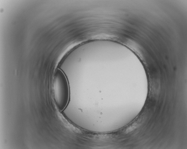 X0000064751000200602171728