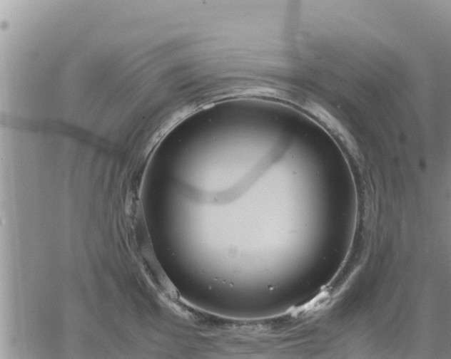 X0000064751001200602171728