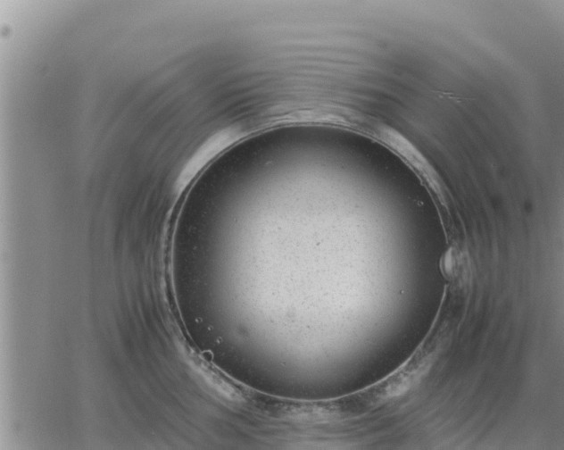 X0000064751002200602171728