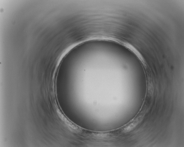 X0000064751004200602171728