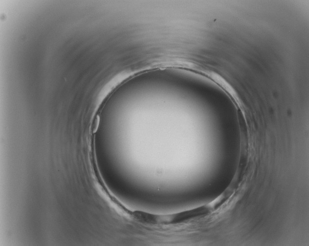 X0000064751005200602171728