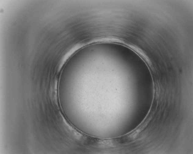 X0000064751006200602171728