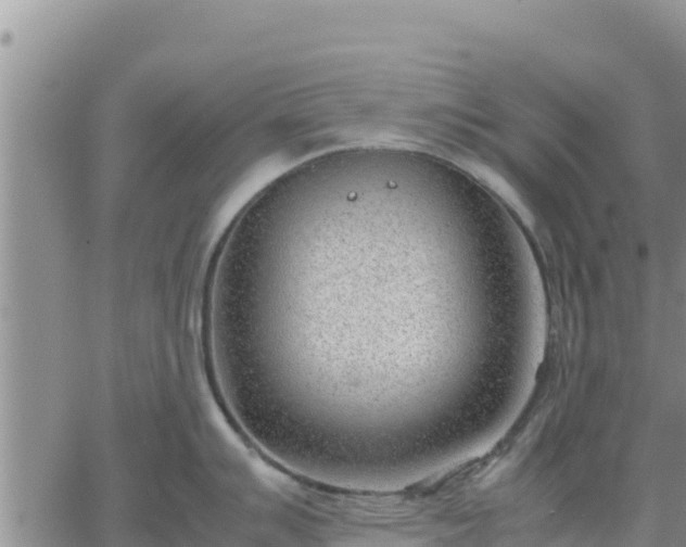 X0000064751007200602171728