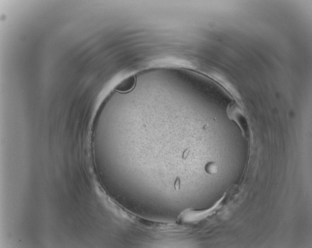 X0000064751008200602171728