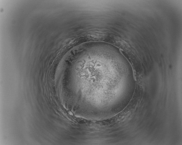 X0000064751009200602171727