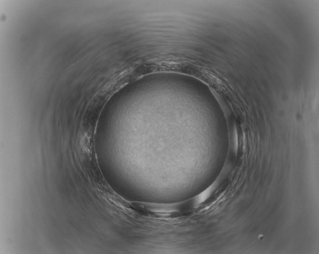 X0000064751010200602171727