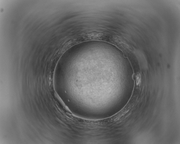 X0000064751011200602171727