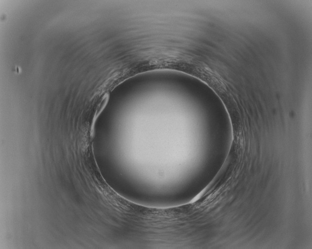 X0000064751012200602171727